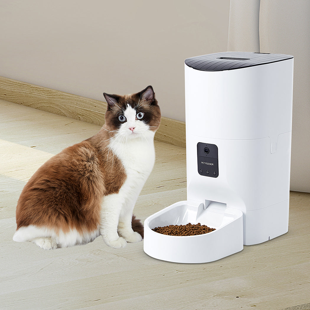 PaWz 6L Auto Feeder Pet Automatic Camera-1954802532199043079