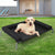 PaWz Elevated Pet Bed Dog Puppy Cat L Large-1954802539228696583
