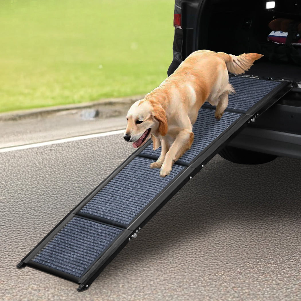 Pawz Dog Ramp-1954802424237658119