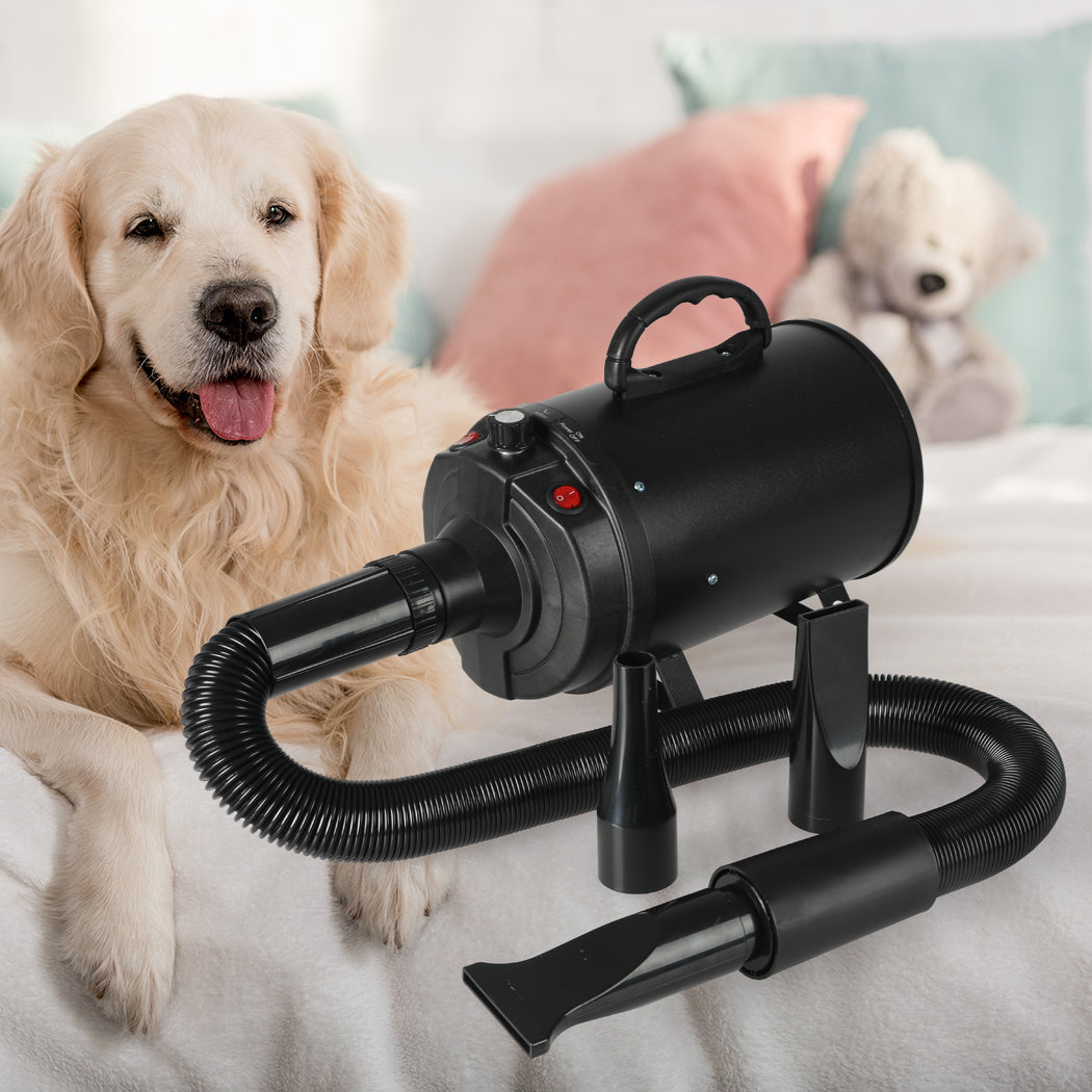 Dog Cat Pet Hair Dryer Grooming Blow Black-1910112973825904647
