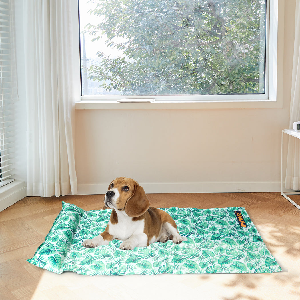 PaWz Pet Cooling Mat Cat Dog Gel Non-Toxic Medium-1954802555498401799