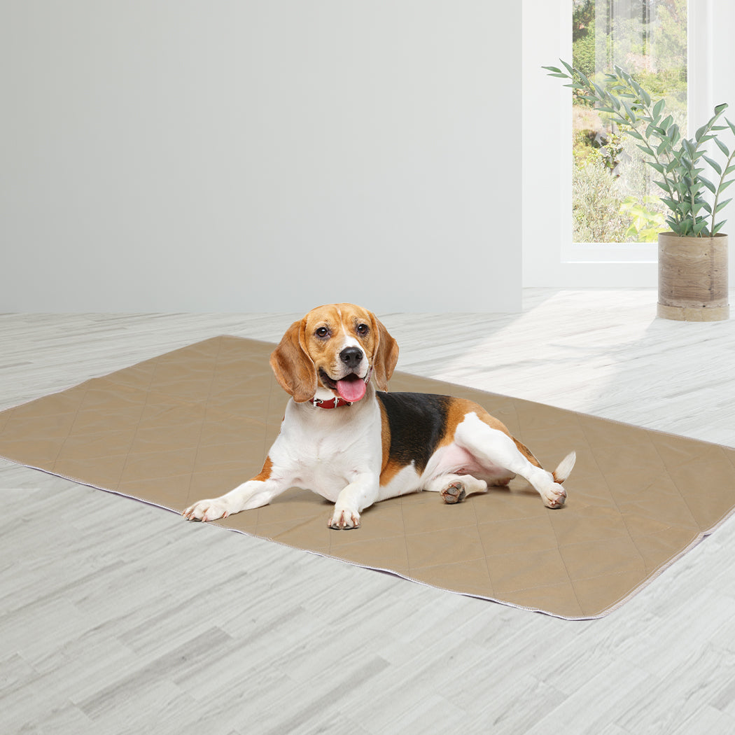 PaWz 2 Pcs 70x80 cm Reusable Waterproof X-Large-1910113000648478727