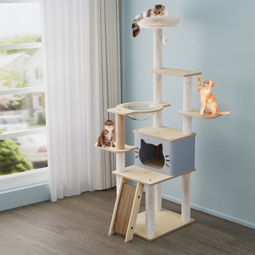 Pawz Cat Tree Tower Large Scratcher Condo House 160cm-1954802480843984903