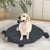 PaWz Pet Bed Cat Calming Bed Dog Squeaky M Charcoal Medium-1954802525270052871