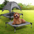 PaWz Pet Trampoline Bed Dog Cat Elevated Medium-1954802532584919047