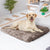 PaWz Dog Mat Pet Calming Bed Memory L Coffee Large-1954802545780199431