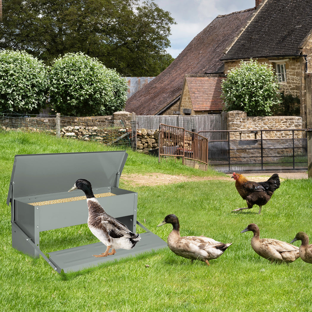 PaWz 10KG Auto Automatic Chicken Feeder-1954802682053136391