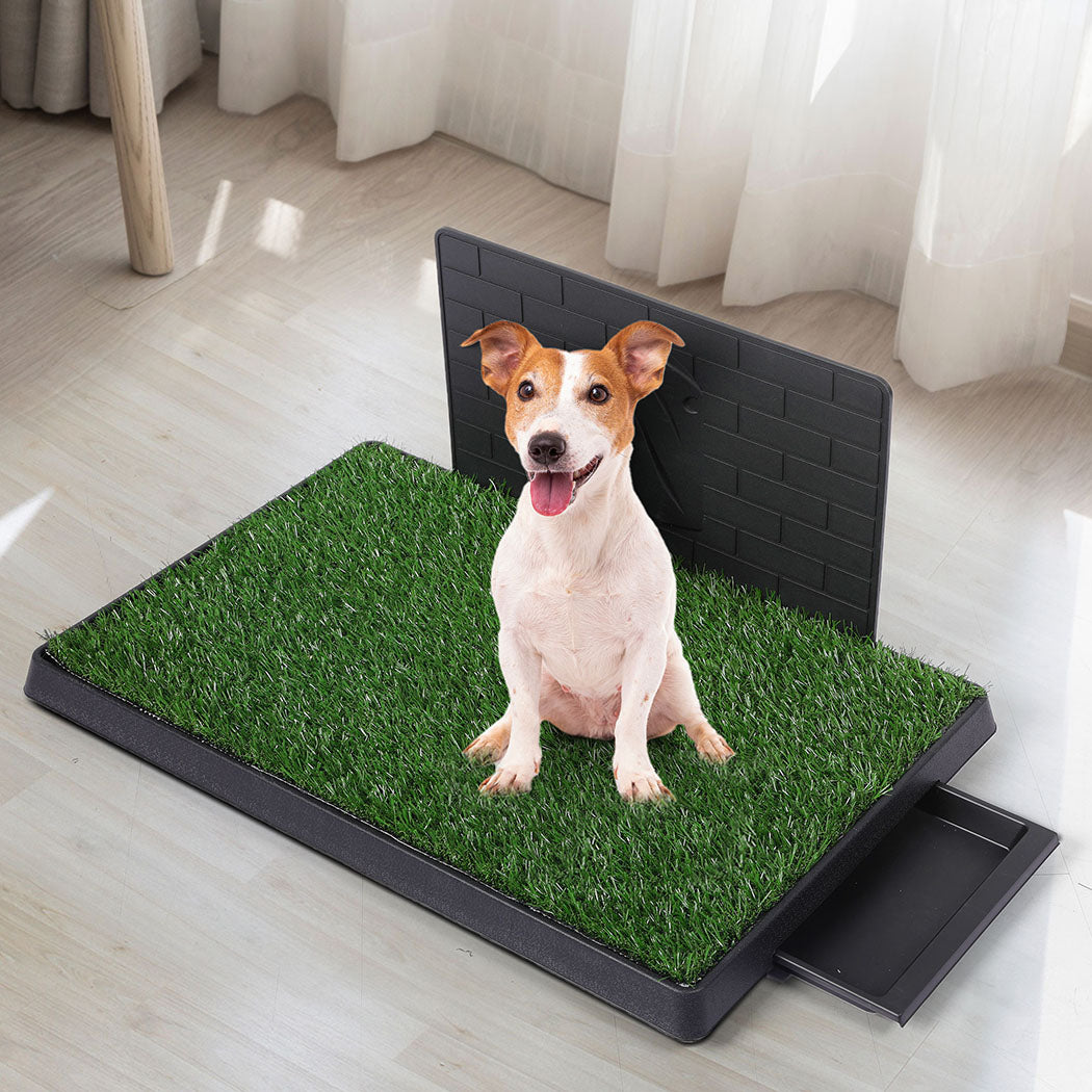 PaWz Indoor Dog Pet Grass Potty Training L-1954802530101891079