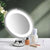 10x Magnifying Makeup LED Mirror 360 Dgree-1910112931941584903