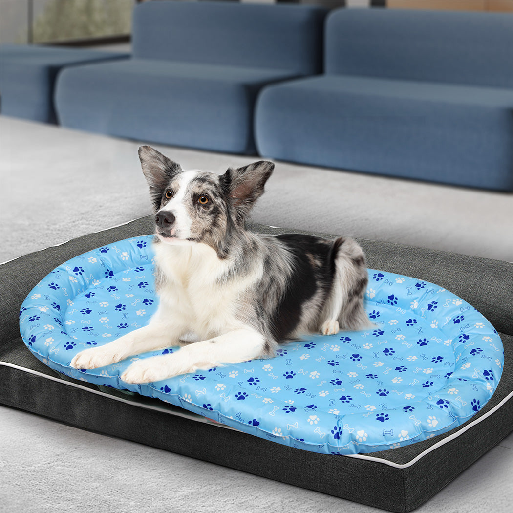 Pawz Pet Cooling Mat XL Blue-1954802432194252807