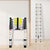 Traderight Multipurpose Ladder Telescopic 3.2M Silver 3.2 Meter-1910113101135613959