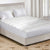 Dreamz Mattress Protector Luxury Topper King-1954802866531209223