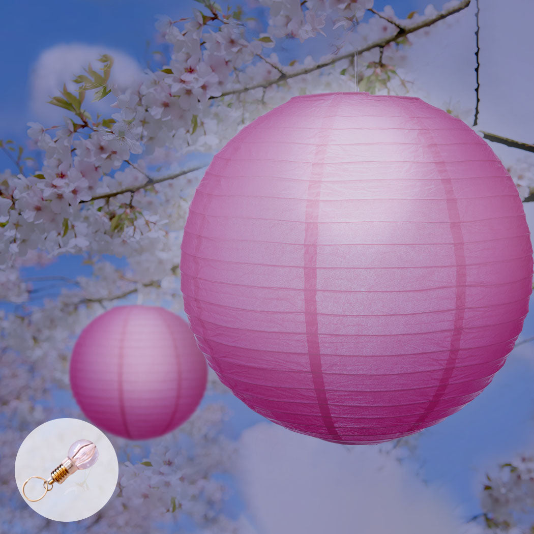 12" Paper Lanterns for Wedding Party-1910113018314887174