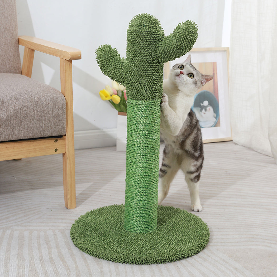 Cactus Cat Scratching Posts Pole Tree-1954802530617790471