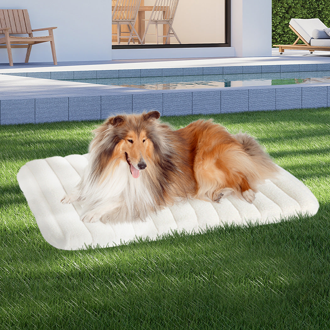 Pawz XL Size Orthopedic Dog Bed with Sherpa Plush Removable Cover in White-1954802483050188807