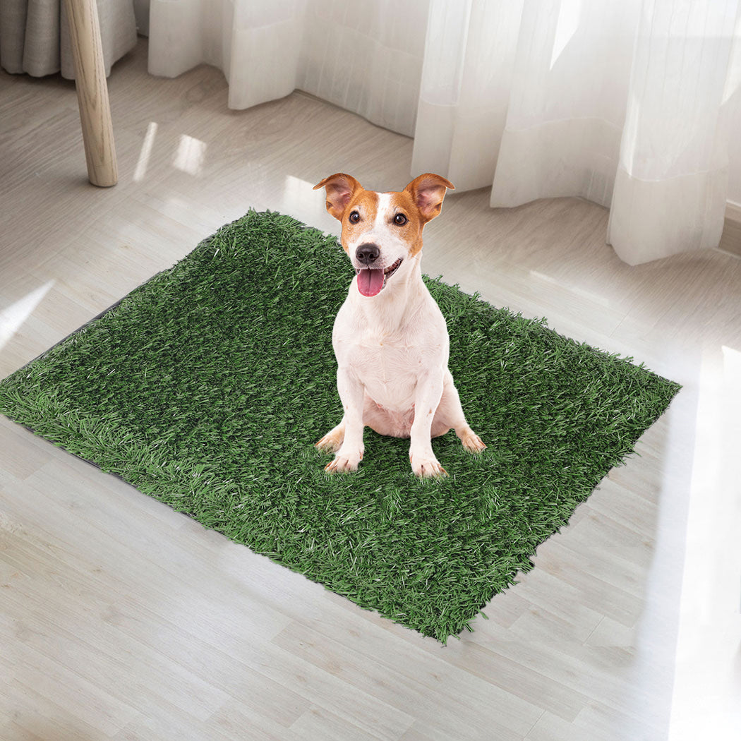 PaWz Grass Potty Dog Pad Training Pet Medium-1910112970181054471
