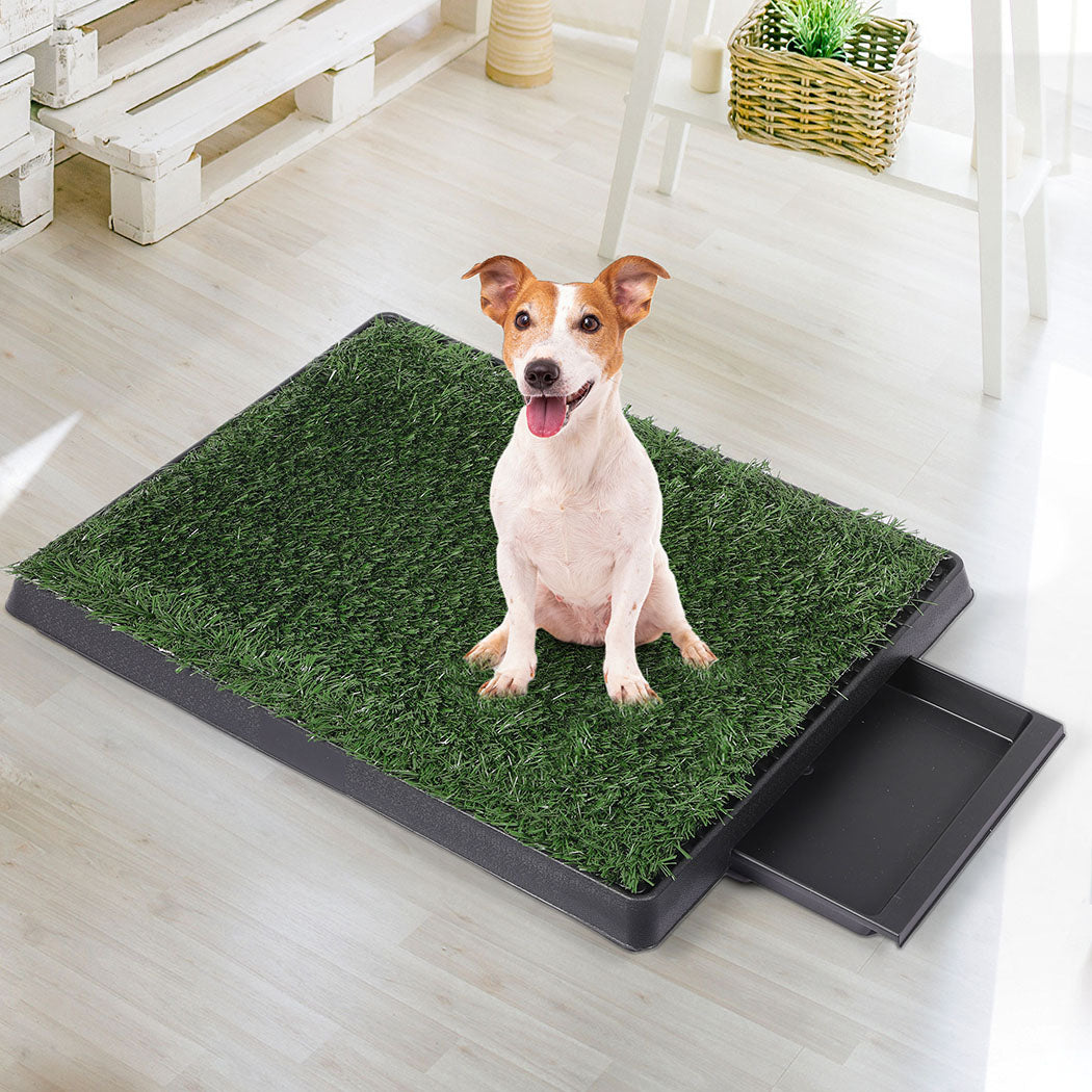PaWz Indoor Dog Pet Grass Potty Training-1954802530315800582