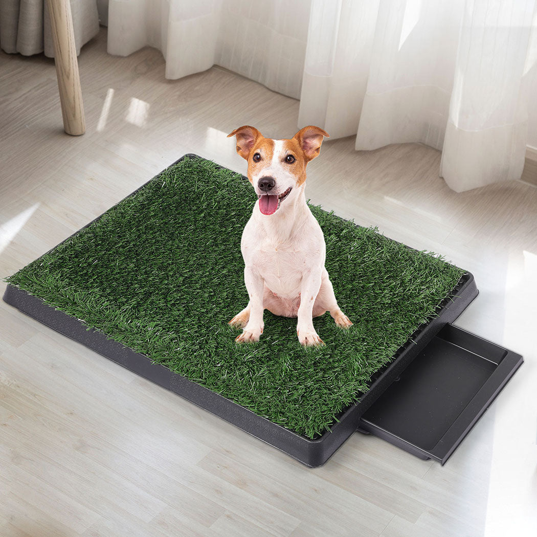 PaWz Indoor Dog Pet Grass Potty Training-1954802530315800583
