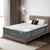 Dreamz Spring Mattress Bed Pocket Egg Queen-1973193575499960326