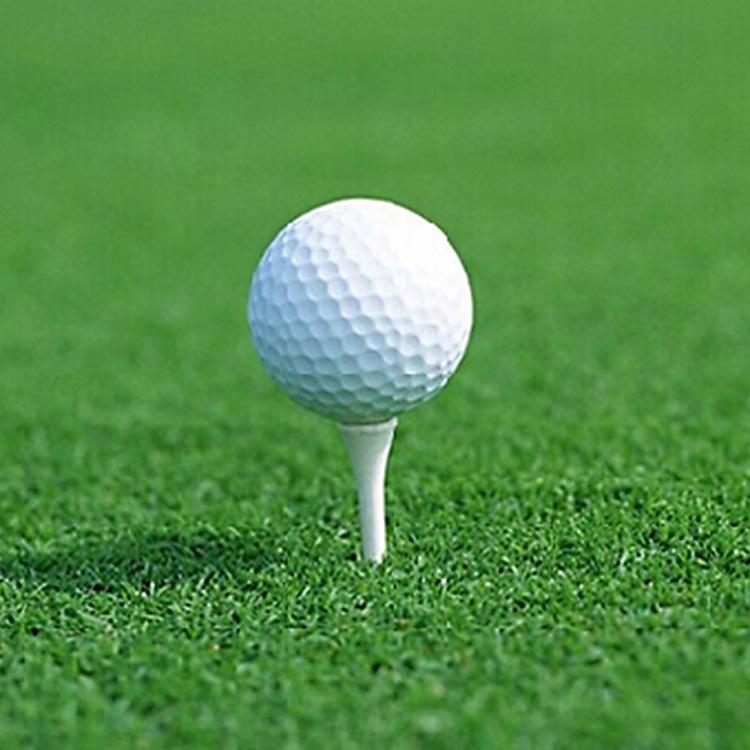 Double Layer Elastic Golf Balls For Driving Range - Synthetic Rubber-1915197723976536068