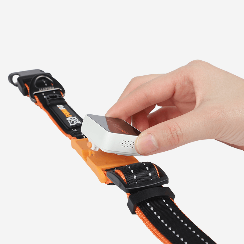 Pawfit 3 Collar Medium-1869883042252853249