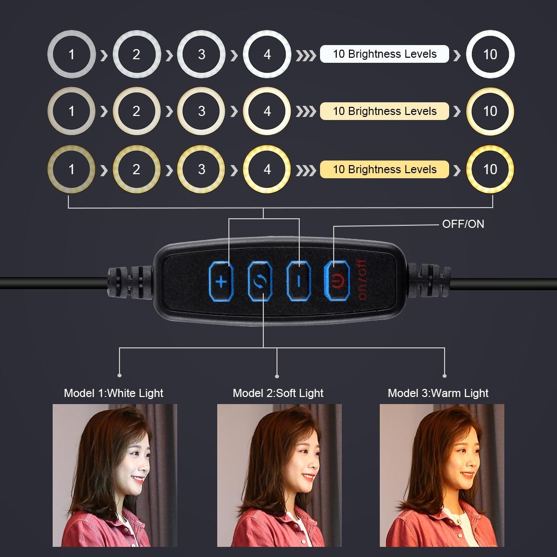 11.8 Led Ring Light Kit With Tripod & Dual Phone Bracket - 3 Modes Dual Colour Temperature Usb Live Broadcast - Black-1915196721982476294