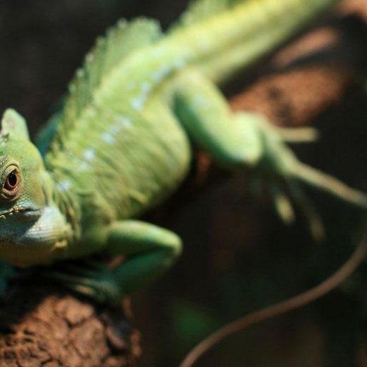 Enhance Image Quality With Nd Filters For Gopro Hero4 / 3 / 3 Sports Action Camera-1915197494904623106