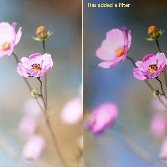 Enhance Image Quality With Nd Filters For Gopro Hero4 / 3 / 3 Sports Action Camera-1915197494904623113