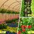 Instahut 90% Shade Cloth 1.83x30m Shadecloth Sail BE
