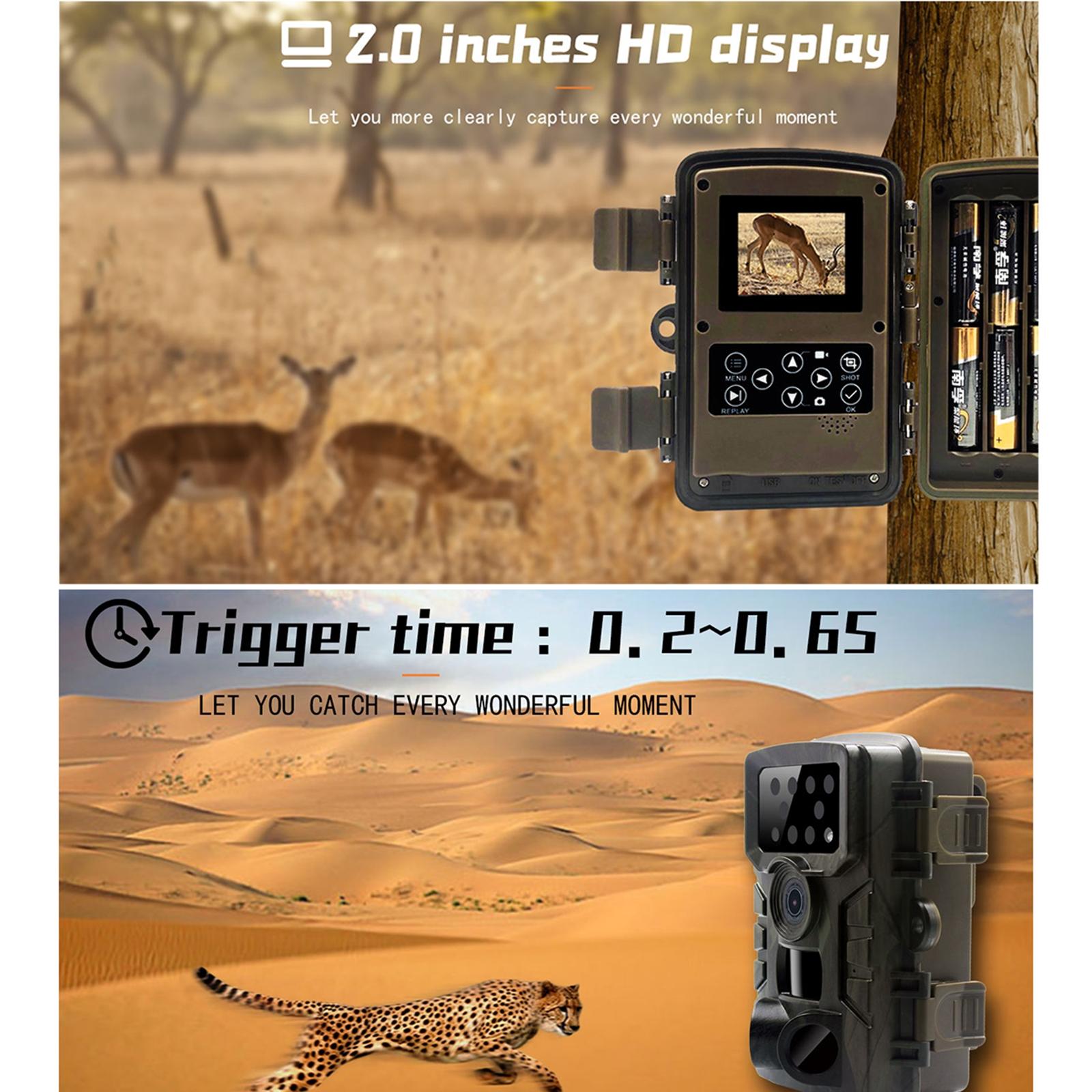 1080P Wildlife Hunting Camera With Night Vision For Outdoor Tracking-1922443457125814276