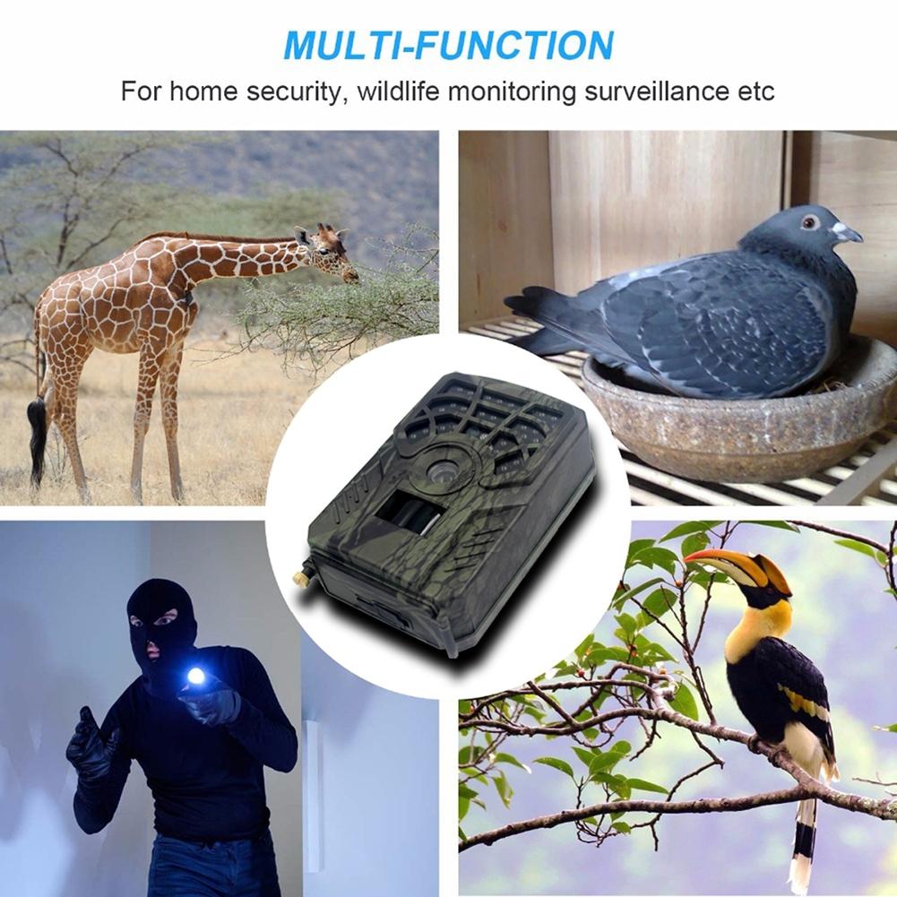 5Mp Trail Camera For Hunting And Outdoor Adventures-1915198228836519941