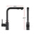 Kitchen Mixer Tap Pull Out Rectangle 2 Mode Sink Basin Faucet Swivel WELS Black