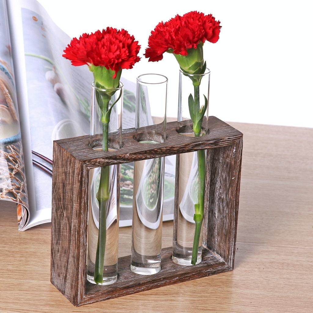 Minimalist Hydroponic Glass Vase With Wooden Frame For Coffee Shop Decor-1915198284557848577