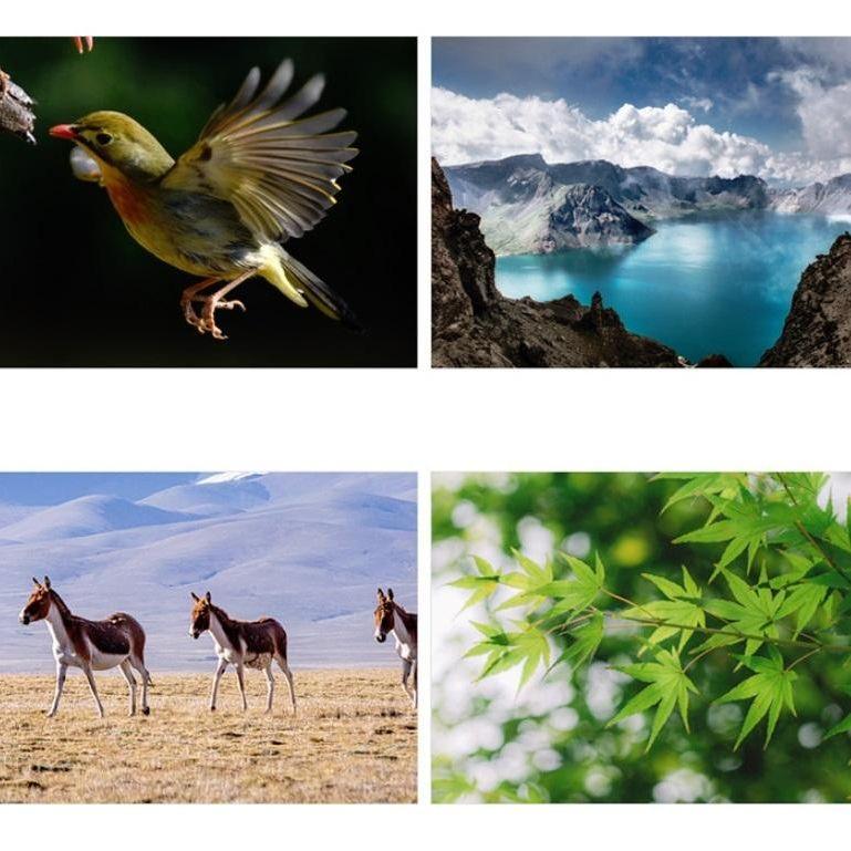 High-Power Small Telescope For Kids - Science Education Toy-1915197568120393731