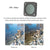 Dji Action 2 With Action Camera Filters - Cpl Style-1915198139124551683