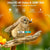 36Mp 4K 4G Hunting Camera With App Control For Remote Viewing-1915198252794384392