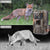 36Mp 4K 4G Hunting Camera With App Control For Remote Viewing-1915198252794384393