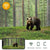Outdoor Hunting Camera With Wifi900Pro For Remote Viewing Of Photos / Videos-1915198301263761412