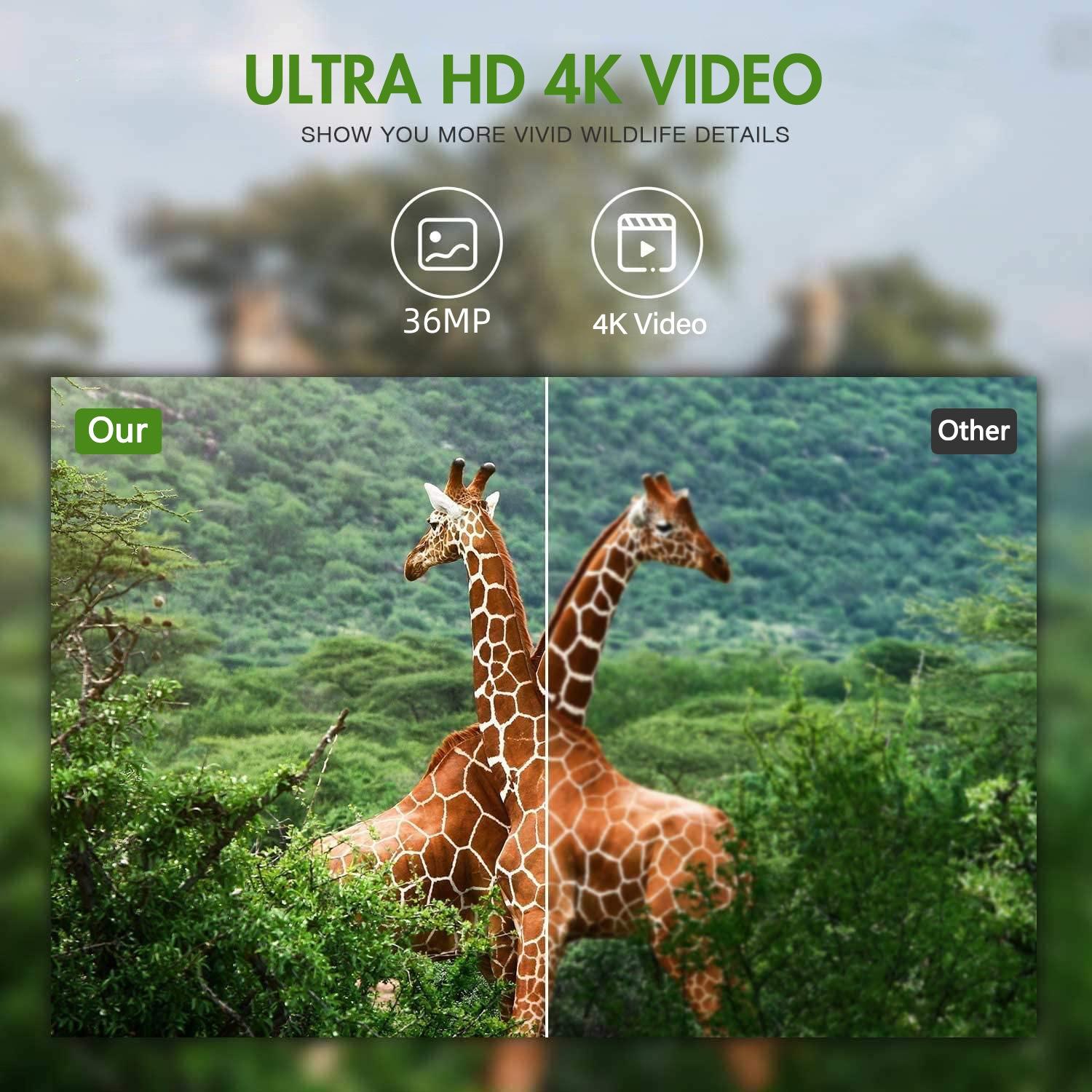 Outdoor Hunting Camera With Wifi900Pro For Remote Viewing Of Photos / Videos-1915198301263761414