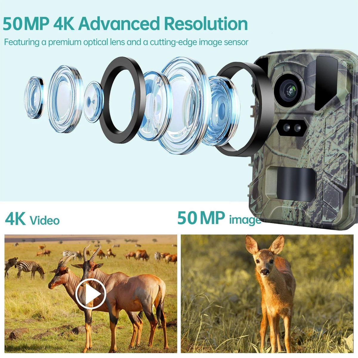 50Mp / 4K Mini Wildlife Hunting Camera With Night Vision-1915198282938847236