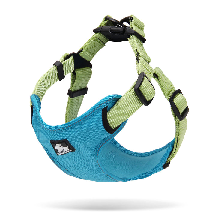 True Love Urban Dog Harness - Green, L-1962324867797880832