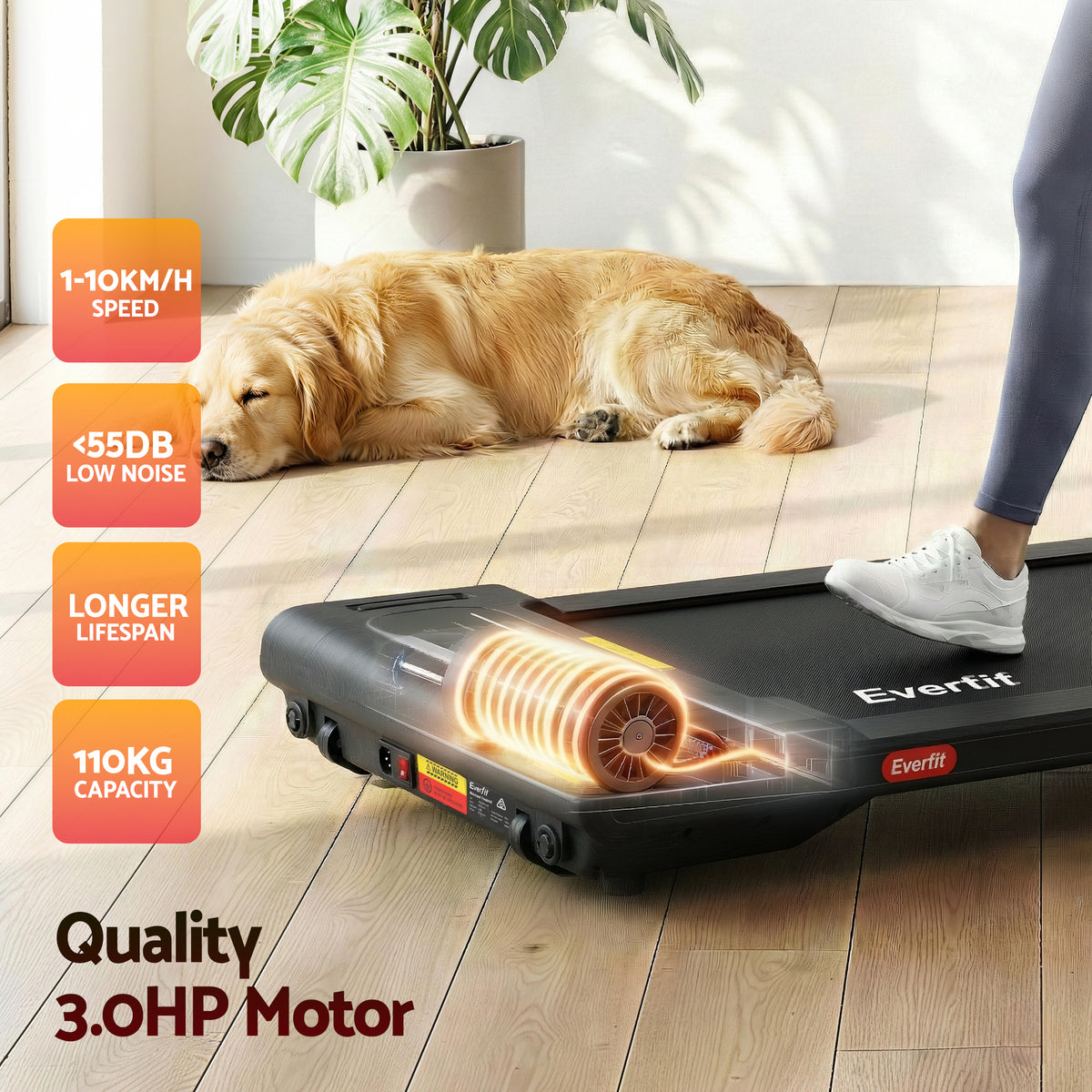 Everfit Walking Pad Treadmill 2 in 1 Foldable Under Desk for Home Gym With 38cm Belt With APP