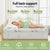 Giselle Mattress Topper 11cm Pillowtop toppers Bamboo Double