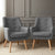 Artiss 2X Armchair Lounge Chair Accent Tub Chair Grey ANNE