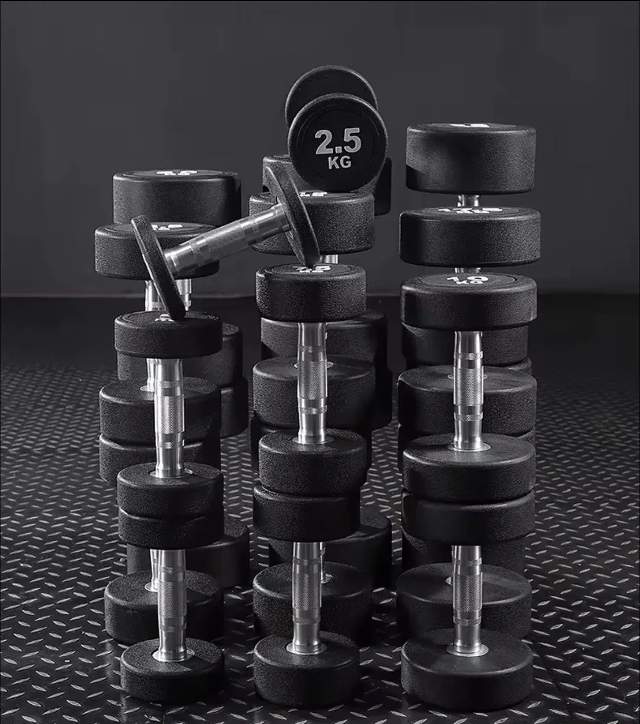 Commercial Round Dumbbells 2.5kg
