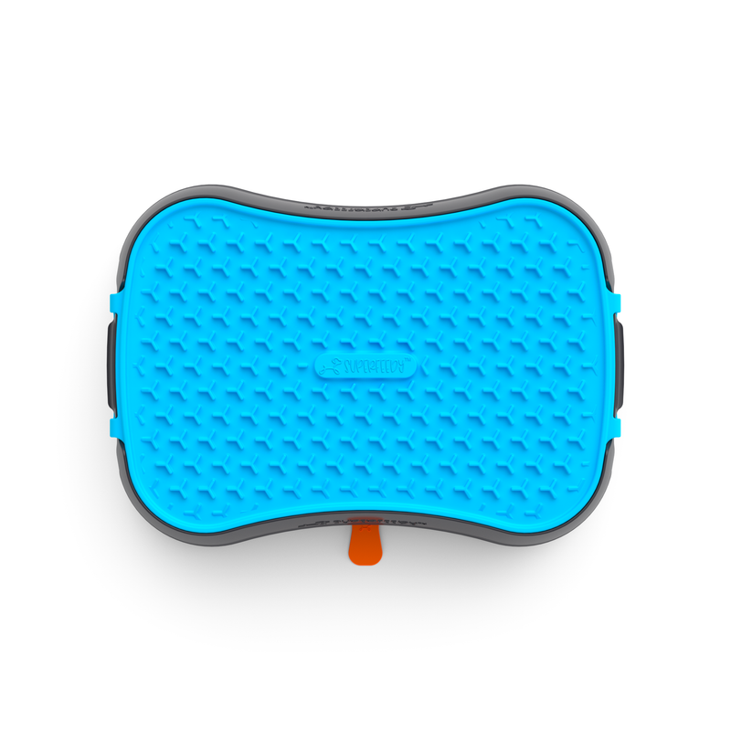 4-in-1 Slow Feeder Dog Bowl - Dark Grey Bowl with Blue Lickmat