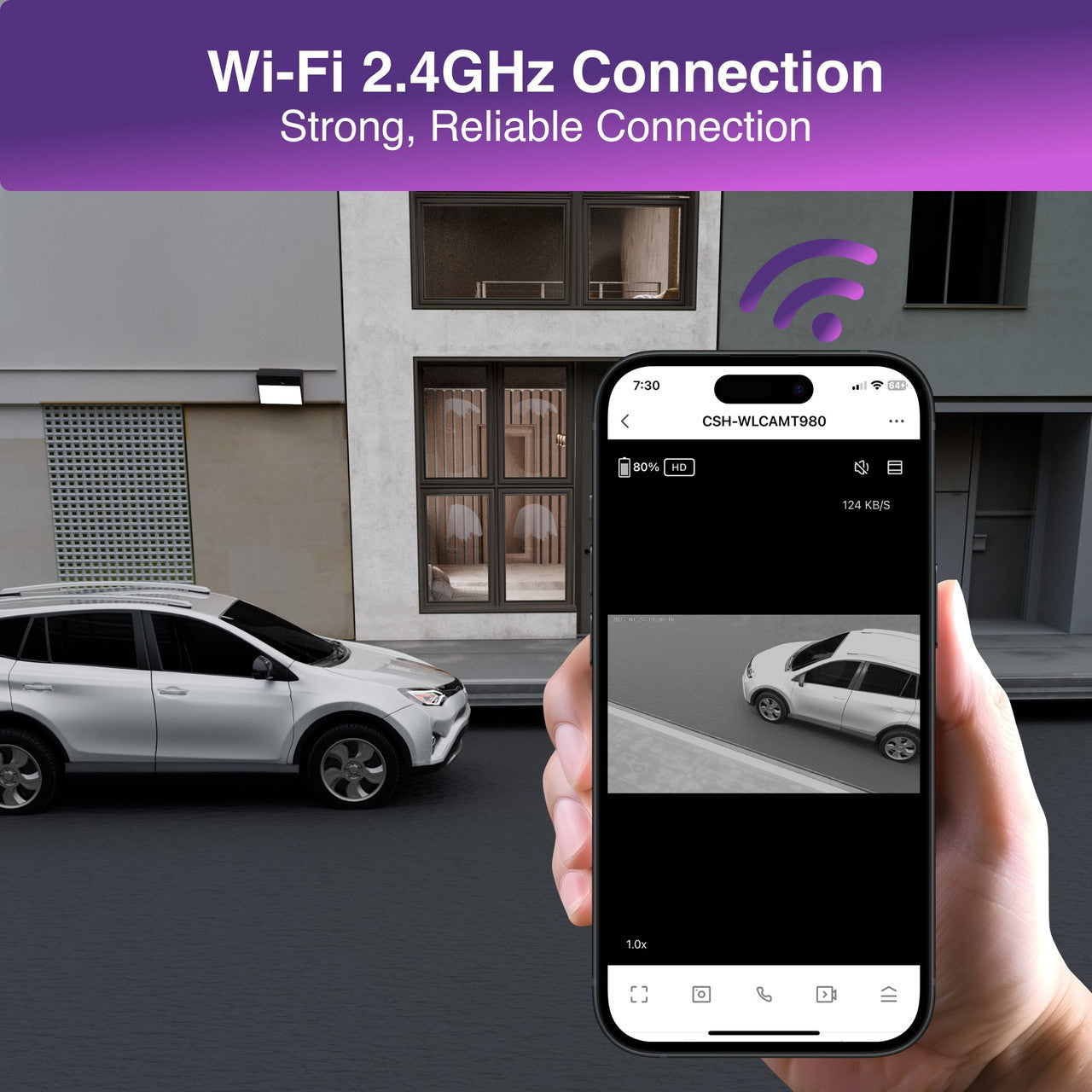 Laser Outdoor Wall Light Camera Twin Pack