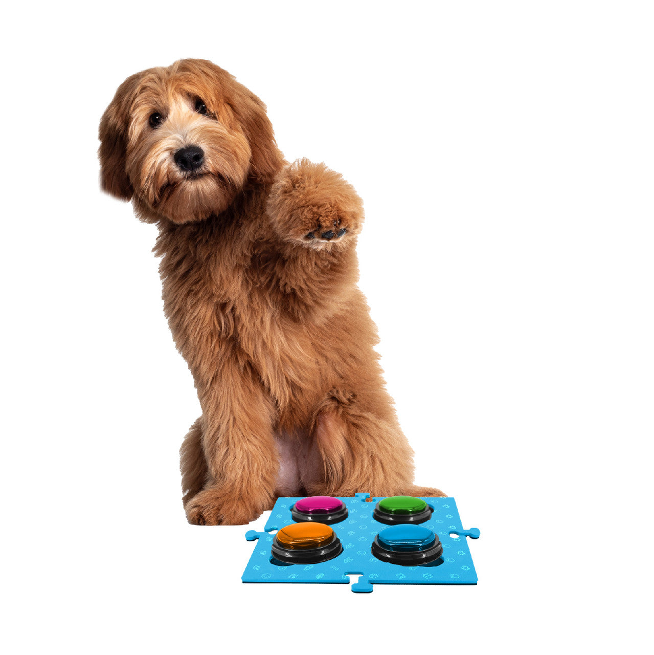 Tech4Pets Blue Mat 2-Pack for Talking Buttons & Floor
