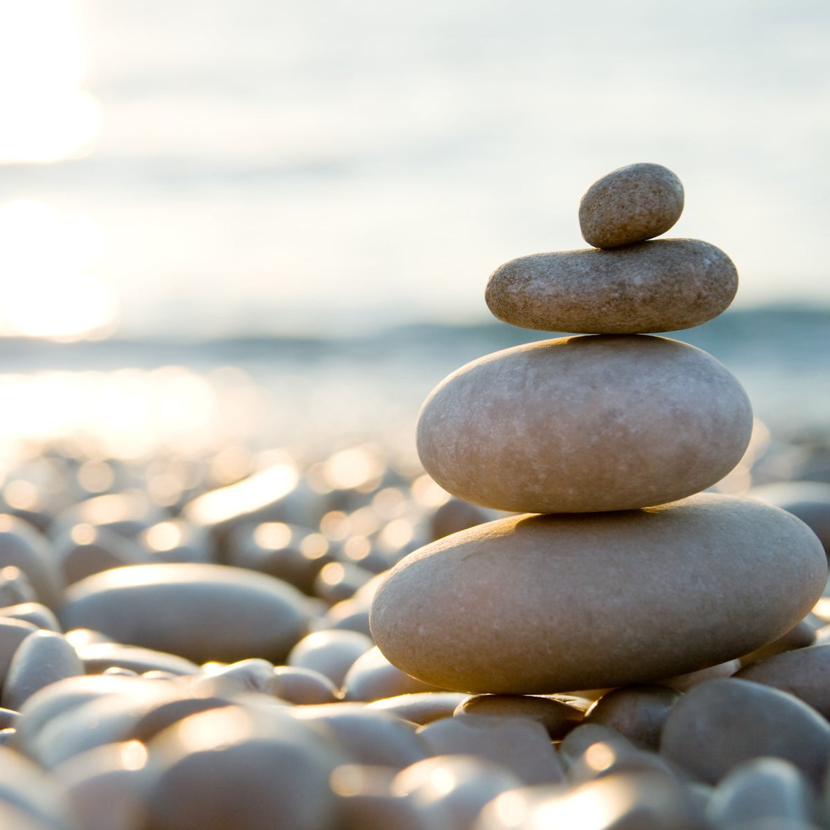 Tranquility Aromatherapy Melt 2.5oz - RRP $7.95 - Wholesale