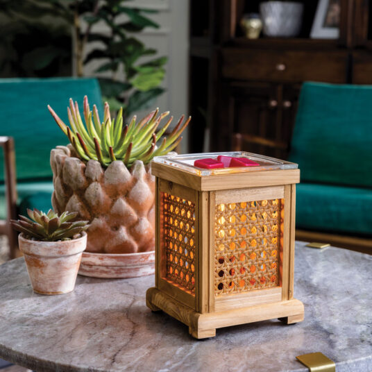 Wood &amp; Cane Vintage Bulb Illumination Warmer